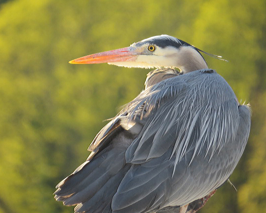 2015 05 12_0616_edited-2