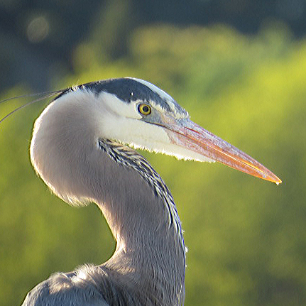 2015 05 12_0620_edited-2