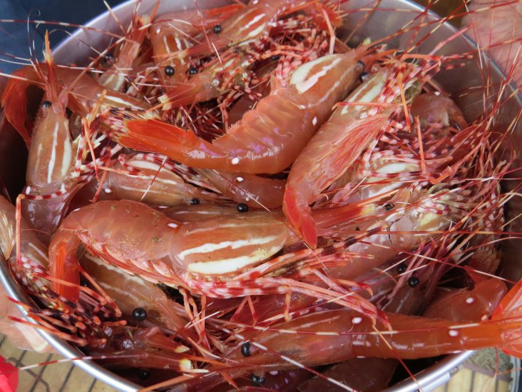 2015 05 05 BookerLagoonBear_2015 06 05_1160_edited-1