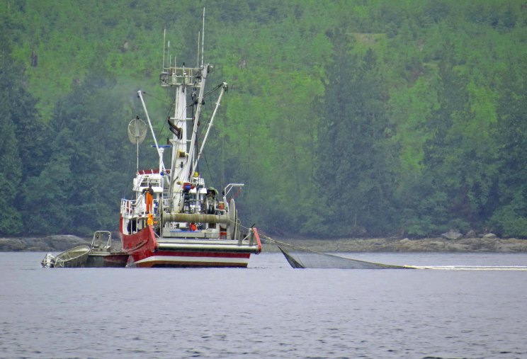 2015 06 02 Johnstone Strait_2015 06 02_0862_edited-2