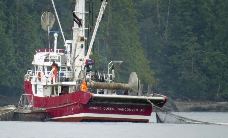 2015 06 02 Johnstone Strait_2015 06 02_0864_edited-1