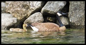 2015 06 20_1655_edited-1