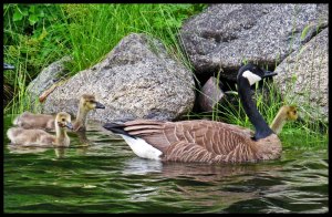 2015 06 20_1669_edited-1