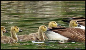 2015 06 20_1708_edited-1