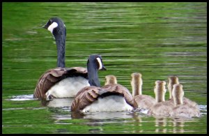 2015 06 20_1719_edited-1