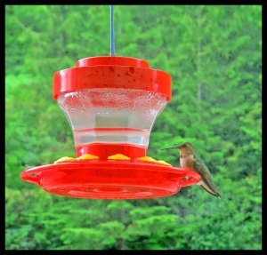 2015 06 20_1740_edited-1