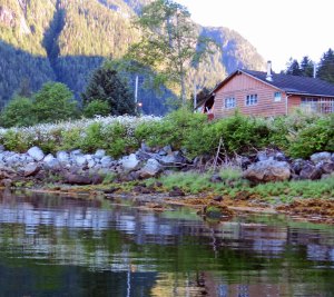 2015 06 21_1620_edited-1