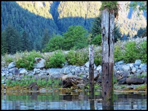 2015 06 21_1624_edited-1