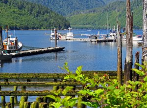 2015 06 23_1845_edited-1