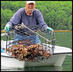 CrabsOceanFalls2015 06 23_1795_edited-2