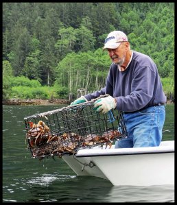 CrabsOceanFalls2015 06 23_1800_edited-1