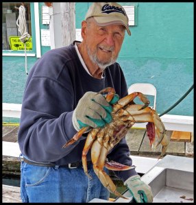 CrabsOceanFalls2015 06 23_1829_edited-1