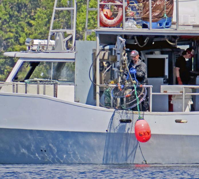 Enter custom name hereCodville2015_2015 06 13_1331_edited-1