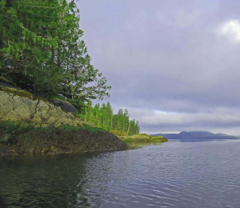 Enter custom name hereCodvilleLagoon_2015 06 15_1386_edited-1