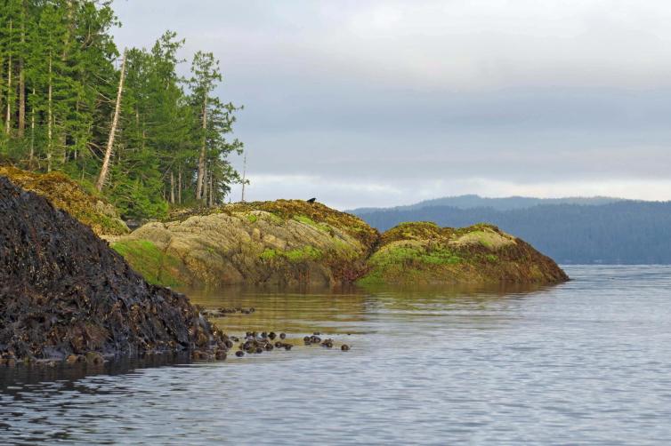 Enter custom name hereCodvilleLagoon_2015 06 15_1388_edited-1