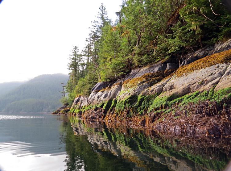 Enter custom name hereCodvilleLagoon_2015 06 15_1394_edited-1