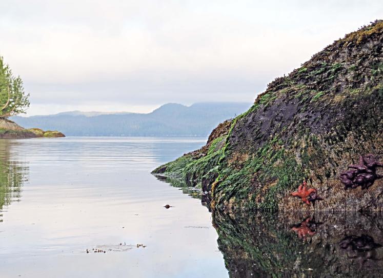 Enter custom name hereCodvilleLagoon_2015 06 15_1398_edited-1