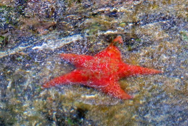 Enter custom name hereCodvilleLagoon_2015 06 15_1414_edited-1