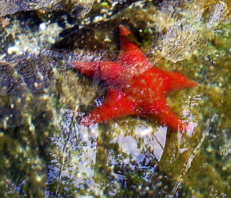 Enter custom name hereCodvilleLagoon_2015 06 15_1425_edited-1