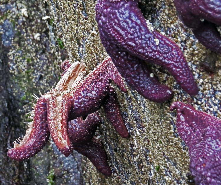 Enter custom name hereCodvilleLagoon_2015 06 15_1439_edited-1