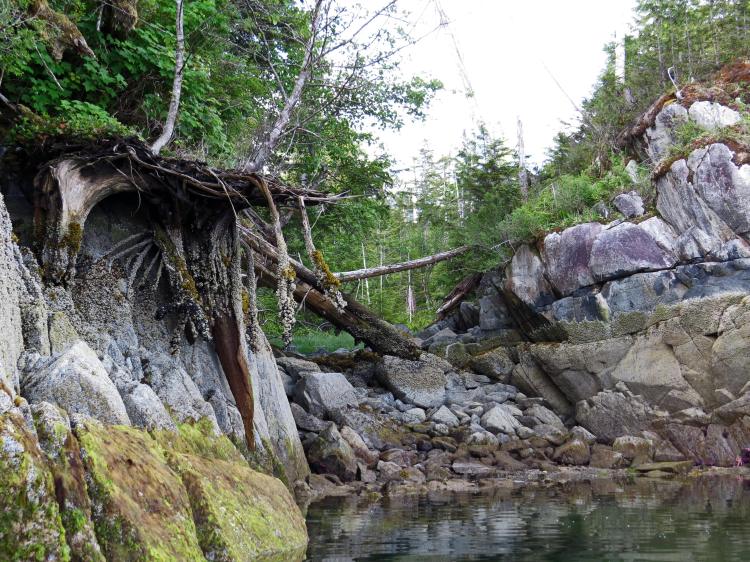 Enter custom name hereCodvilleLagoon_2015 06 15_1445_edited-1