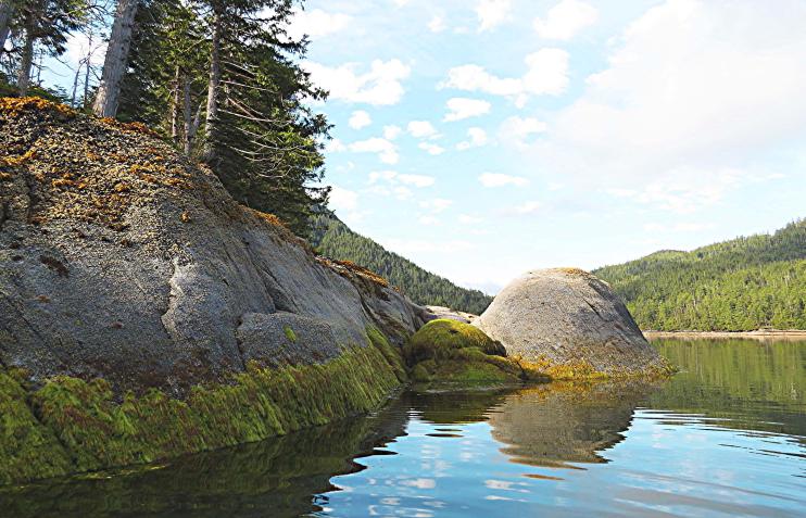 Enter custom name hereCodvilleLagoon_2015 06 15_1455_edited-1