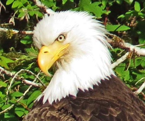 Enter custom name hereCodvilleLagoon_2015 06 15_1484_edited-1