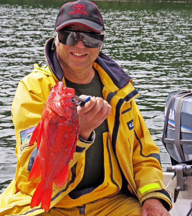 Enter custom name hereKisameet 2015_2015 06 12_1266_edited-1