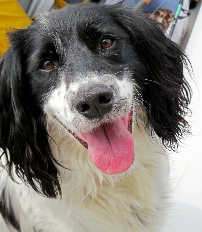 Enter custom name hereKisameet 2015_2015 06 12_1267_edited-1