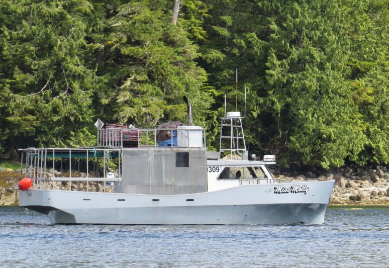 Enter custom name hereKisameet 2015_2015 06 12_1279_edited-1