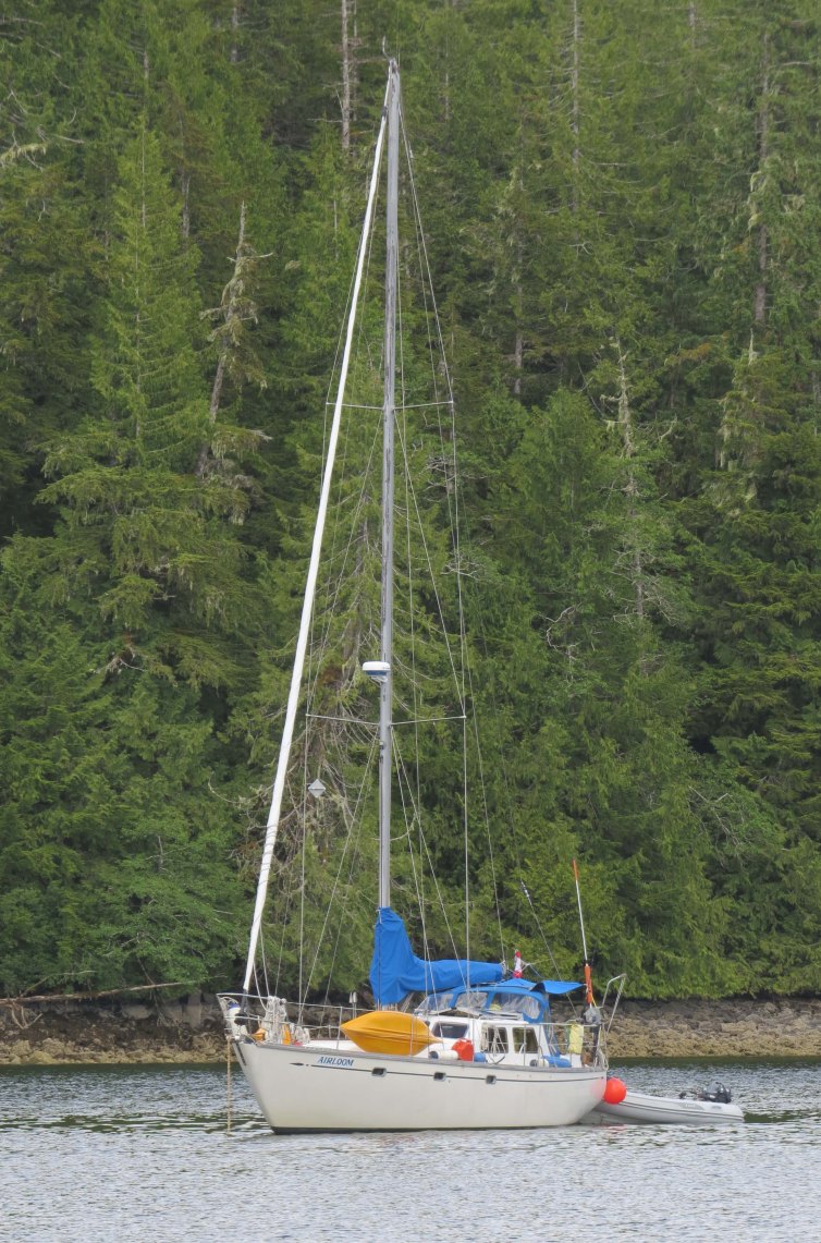 Enter custom name hereKisameet_2015_2015 06 12_1306_edited-1-1