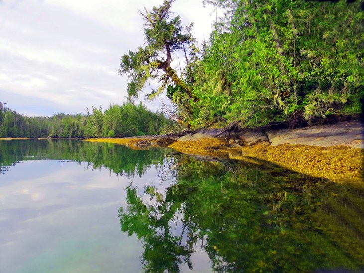 Enter custom name hereKwakumeInlet2015_2015 06 10_1216_edited-1