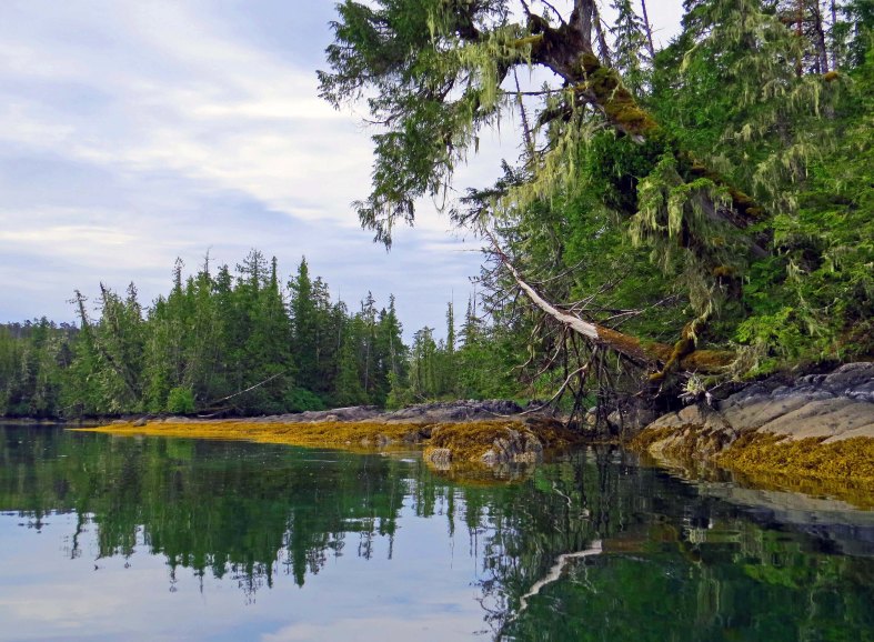 Enter custom name hereKwakumeInlet2015_2015 06 10_1220_edited-1