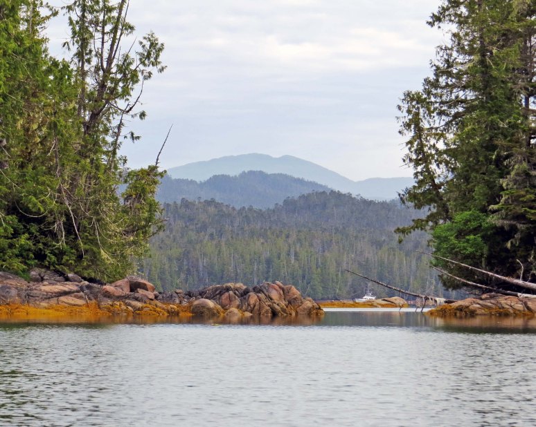 Enter custom name hereKwakumeInlet2015_2015 06 10_1234_edited-1