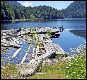 LinkLake2015 06 23_1860_edited-1