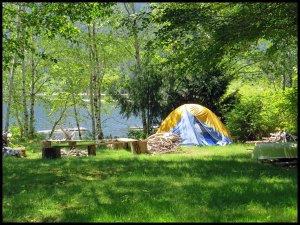 LinkLake2015 06 23_1865_edited-1