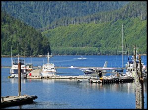 Marina4OceanFalls2015 06 23_1842_edited-1