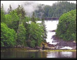 Ocean Falls_2015 06 19_1497_edited-2