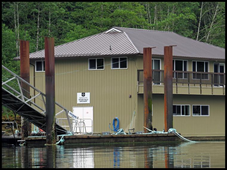 Ocean Falls_2015 06 19_1536_edited-1-2