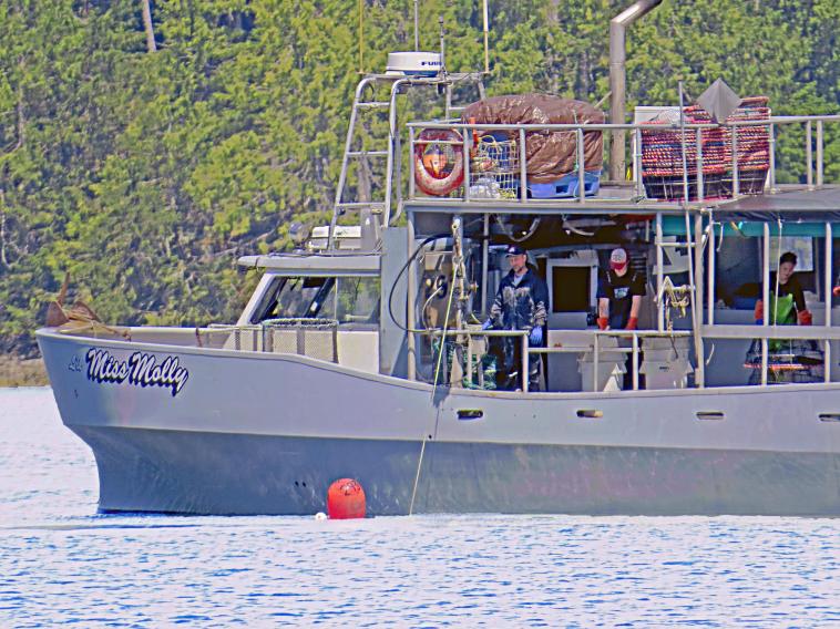 PrawnerCodville2015_2015 06 13_1327_edited-1