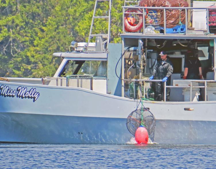 PrawnerCodville2015_2015 06 13_1329_edited-1