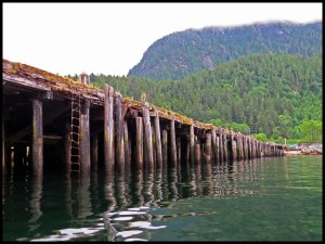 WharfOceanFalls2015_edited-1