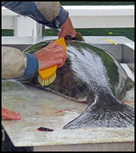 2015 06 19_1593_edited-1