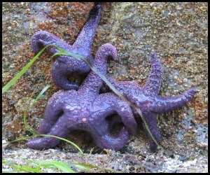 2015 07 02_2763_edited-1