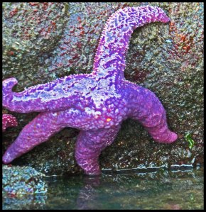 Bottleneck2015-106-IMG_9093_edited-1