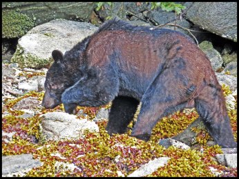 Bottleneck2015-32- IMG_8919-1_edited-1