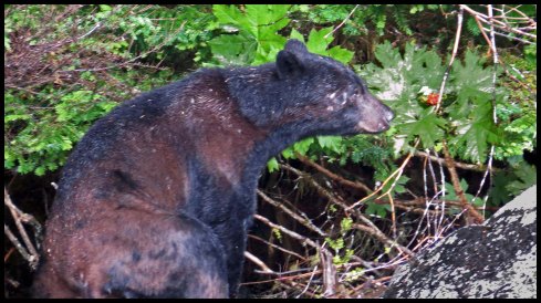 Bottleneck2015-37-IMG_8935-1_edited-1