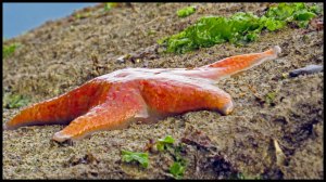 Bottleneck2015-422-IMG_9108_edited-1