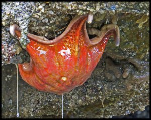 Bottleneck2015-446-IMG_9115_edited-1