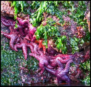 Bottleneck2015-560-IMG_9176_edited-1